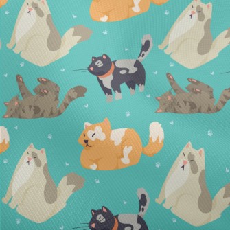 Cute Cartoon Cats Dobby