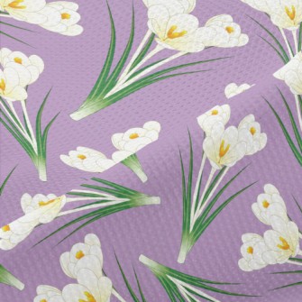 Elegant White Crocus Piqué