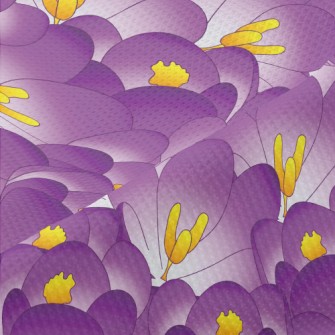 Purple Crocus Piqué