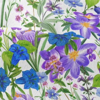 Colorful Wildflowers And Herbs Modern Jersey