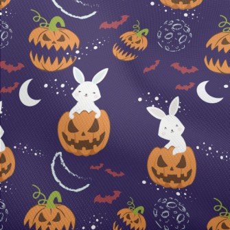 Rabbit And Halloween Pumpkin Dobby