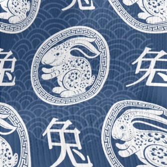 Chinese Festival Rabbit Stretch Jersey