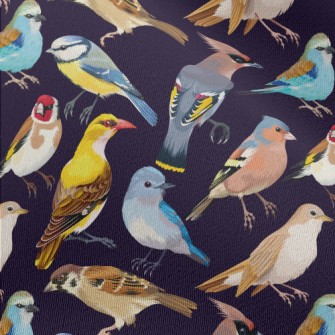 Realistic Hand Drawn Songbird Chiffon