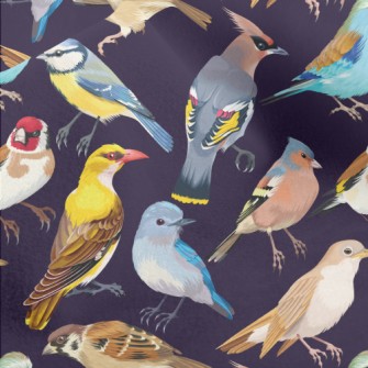 Realistic Hand Drawn Songbird Micro Fleece