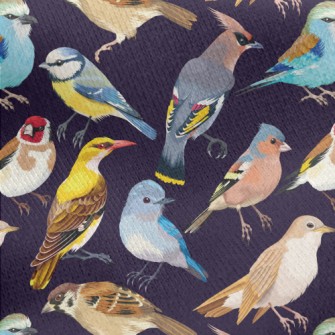 Realistic Hand Drawn Songbird Jersey Backed Fleece