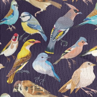 Realistic Hand Drawn Songbird Stretch Jersey