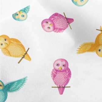 Colorful Cartoon Owl Micro Fleece