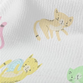 Colorful And Playful Kitten Terry