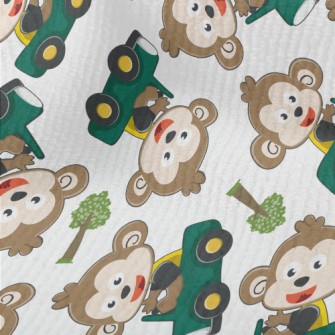 Monkey Driving A Car On The Ro Terry