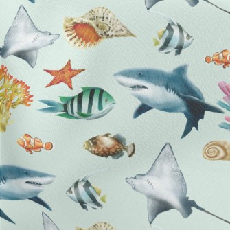 Rare Marine Life Stretch Ponte