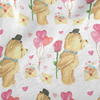 Valentine&#39;s Day Teddy Bear Minky