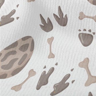 Mysterious Dinosaur Footprints Terry