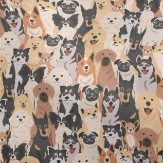 A Group Of Energetic Puppies Dobby