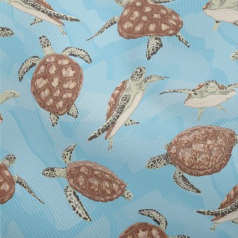 A Turtle Swimming Freely Dobby