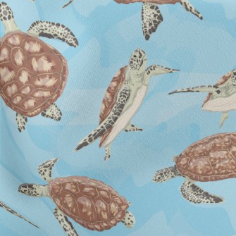 A Turtle Swimming Freely Stretch Ponte