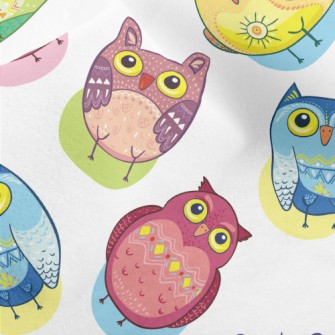 Colorful Owl Micro Fleece