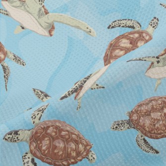 A Turtle Swimming Freely Piqué