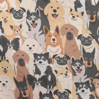 A Group Of Energetic Puppies Pongee