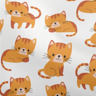 Cute Kitten Activities Dobby