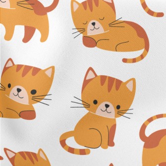 Cute Kitten Activities Stretch Ponte