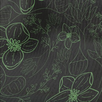 Green Line Plants Terry