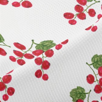 Bright Watercolor Cranberries Piqué