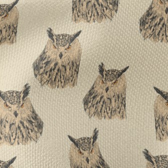 Sharp-eyed Owl Waterproof Canvas