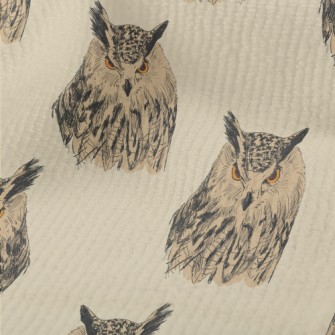 Sharp-eyed Owl Terry