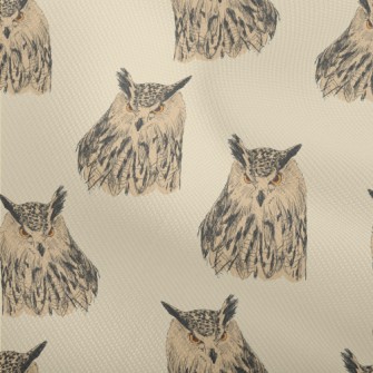 Sharp-eyed Owl Dobby