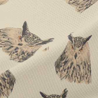Sharp-eyed Owl Piqué