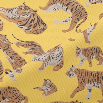 Tigers In Different Poses Piqué