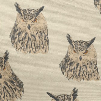 Sharp-eyed Owl Pongee