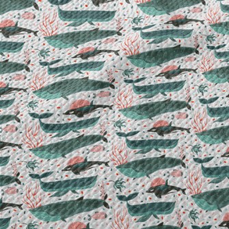 Whale Swimming Underwater Birdseye Piqué
