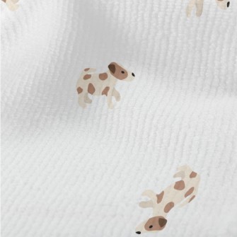 Jack Russell Terrier Baby Vers Terry
