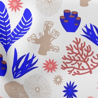 Lively Seaweed Creatures Stretch Ponte