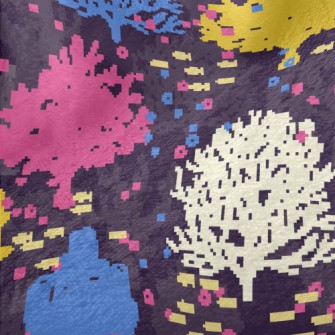 Small Fish And Coral Minky