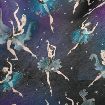 Ballet Dancer Under The Stars Minky