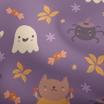Witch Spider Pumpkin Fox Dobby