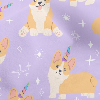 Shiny Corgi Birthday Party Micro Fleece