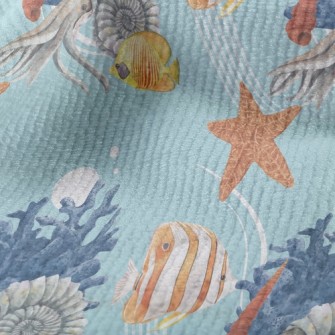 Nautilus Clownfish Terry