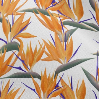 Large Bird Of Paradise Flower Chiffon