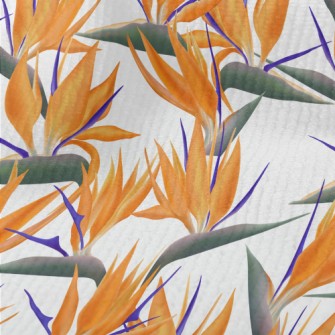 Large Bird Of Paradise Flower Terry