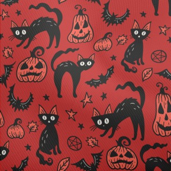 Halloween Pumpkin Black Cat Dobby