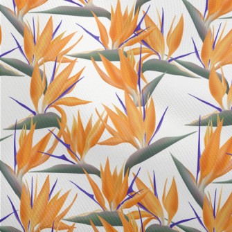 Large Bird Of Paradise Flower Dobby