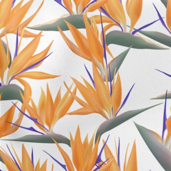 Large Bird Of Paradise Flower Stretch Ponte