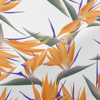 Large Bird Of Paradise Flower Piqué