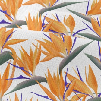 Large Bird Of Paradise Flower Modern Jersey