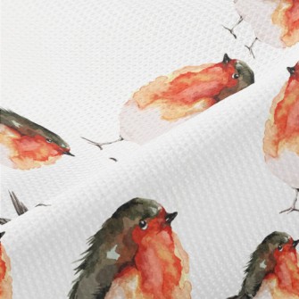 Cute And Charming Robin Piqué