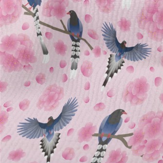 Rare Taiwan Blue Magpie Terry