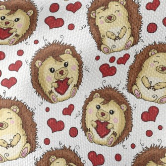 Funny Hedgehog Celebrating Val Waterproof Canvas